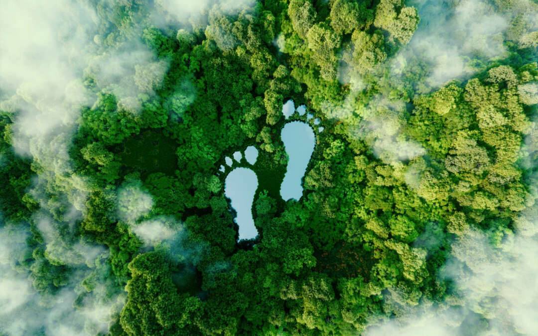 Neue EU-Vorgaben und Steuerregeln: Was Unternehmer jetzt wissen müssen